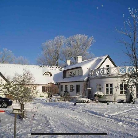 Villa Kongsholmlund - Silent Retreat à Vejby Extérieur photo
